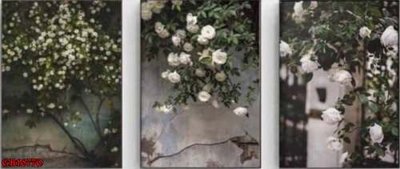 File tranh File gốc in bộ tranh decor treo tráng gương canvas GB16770 (ảnh gốc) độ nét vượt trội