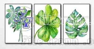 Hình ảnh gốc File gốc in bộ tranh decor treo tráng gương canvas GB20924 (để in khổ lớn)