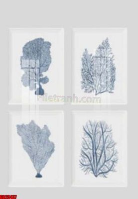 File tranh in trần File gốc in bộ tranh decor treo tráng gương canvas GB25437 (ảnh gốc siêu nét)