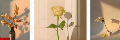 File in ấn File gốc in bộ tranh decor treo tráng gương canvas GB26672 (bản gốc) sắc nét