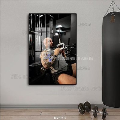 File in trần File tranh treo phòng gym GYM133 (bản gốc) hoa văn