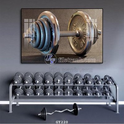 File in trần File tranh treo phòng gym GYM220 (file gốc) hoa văn 3D