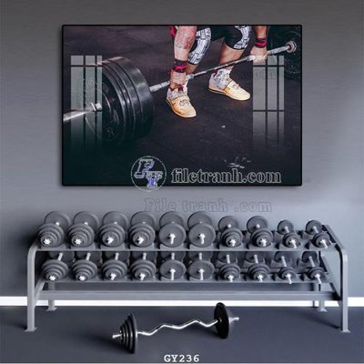 File tranh File tranh treo phòng gym GYM236 (bản gốc) in canvas