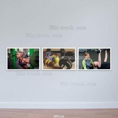 Ảnh gốc File tranh treo phòng gym GYM316 (nét căng) in mica