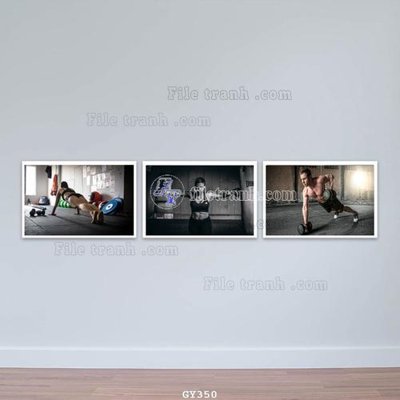 File tranh File tranh treo phòng gym GYM350 (ảnh gốc) in trần xuyên sáng