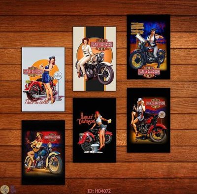 File in ấn File tranh treo hiện đại HD4072 (bản gốc) chất lượng cao