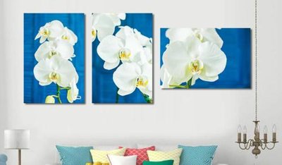 Download file File tranh bộ 3 hoa lan trắng HD4314 (gốc) cho xưởng in