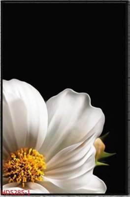 File in ấn chuyên nghiệp File tranh bộ hiện đại HD5285 (file gốc)