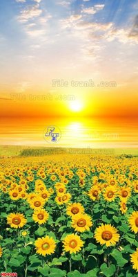 File gốc File tranh bộ hiện đại HD9084 (phong cách) tối giản