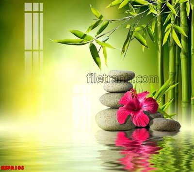 Ảnh gốc Tranh trang trí Spa làm đẹp KSPA103 (siêu chi tiết) để in ấn