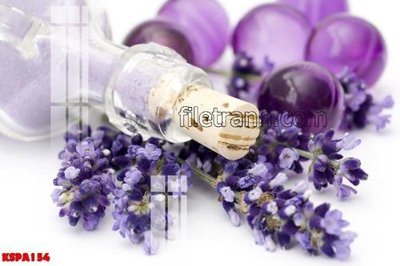 Mua file ảnh gốc Tranh trang trí Spa làm đẹp KSPA154 (chất lượng cao)