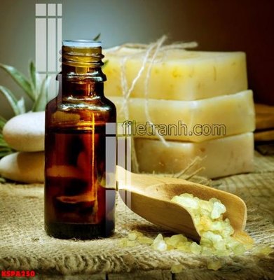 Tải file Tranh trang trí Spa làm đẹp KSPA250 (gốc) làm file quảng cáo