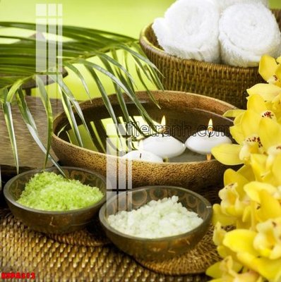 Tải file Tranh trang trí Spa làm đẹp KSPA312 (gốc) in nhanh