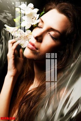 File gốc in ấn Tranh trang trí Spa làm đẹp KSPA328 chất lượng vượt trội