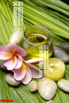 File gốc Tranh trang trí Spa làm đẹp KSPA360 (trang trí) cho phòng khách