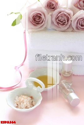 File tranh Tranh trang trí Spa làm đẹp KSPA364 (ảnh gốc) cho in ấn kỹ thuật số