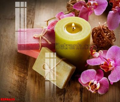 File gốc Tranh trang trí Spa làm đẹp KSPA435 (vector) cho in ấn