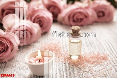 Chi tiết file tranh tráng gương Tranh trang trí Spa làm đẹp KSPA475 (ảnh gốc)