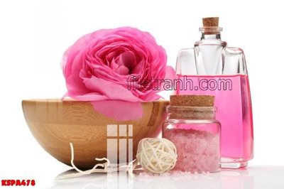 File in mica Tranh trang trí Spa làm đẹp KSPA478 (ảnh gốc) đẹp