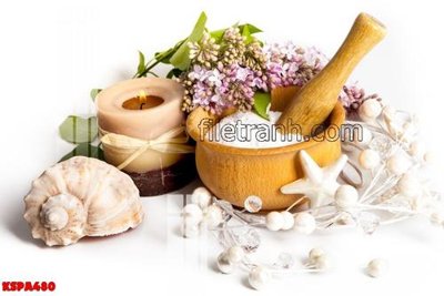 File tranh Tranh trang trí Spa làm đẹp KSPA480 (ảnh gốc) sắc nét hoàn hảo
