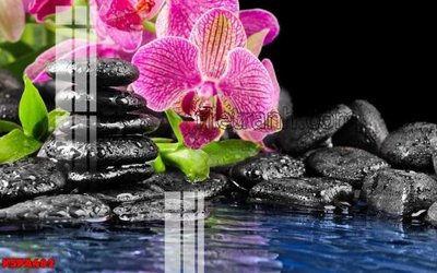 File ảnh Tranh trang trí Spa làm đẹp KSPA482 (gốc) in backdrop sự kiện