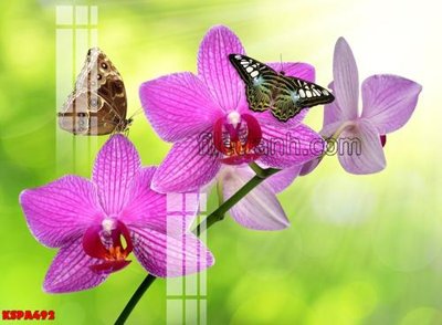 File ảnh gốc Tranh trang trí Spa làm đẹp KSPA492 không vỡ nét