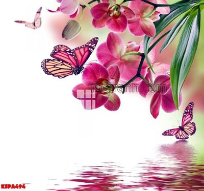 File gốc Tranh trang trí Spa làm đẹp KSPA494 (in lụa) họa tiết 3D