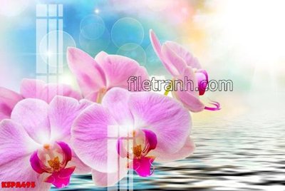 File in trần Tranh trang trí Spa làm đẹp KSPA495 (bản gốc) hoa văn