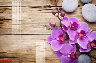 Tải file tranh Tranh trang trí Spa làm đẹp KSPA496 (ảnh gốc) ngay