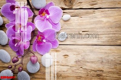 File gốc Tranh trang trí Spa làm đẹp KSPA497 (bản quyền) cho in ấn