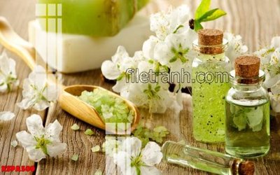 File gốc Tranh trang trí Spa làm đẹp KSPA500 (in lụa) chi tiết cao