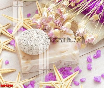 Download file Tranh trang trí Spa làm đẹp KSPA506 (chuẩn in) Tranh trang trí Spa làm đẹp KSPA506