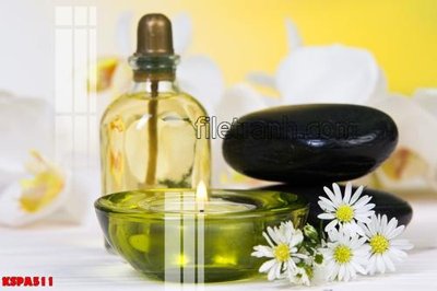 File gốc Tranh trang trí Spa làm đẹp KSPA511 (cho in ấn) từ kho Filetranh