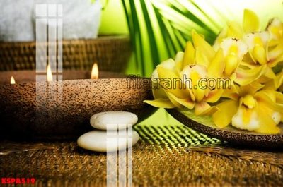 Tải về file tranh gốc Tranh trang trí Spa làm đẹp KSPA519 (để in quảng cáo)
