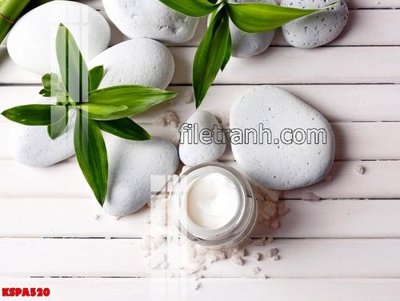 File tranh gốc Tranh trang trí Spa làm đẹp KSPA520 (sắc nét từng chi tiết)