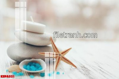 Download file Tranh trang trí Spa làm đẹp KSPA521 (chuẩn in) chất lượng cao