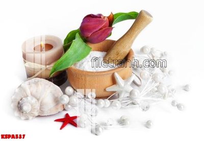 File gốc Tranh trang trí Spa làm đẹp KSPA537 (phong cách) châu Âu