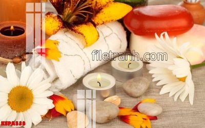 File gốc Tranh trang trí Spa làm đẹp KSPA538 (in mica) làm quà tặng