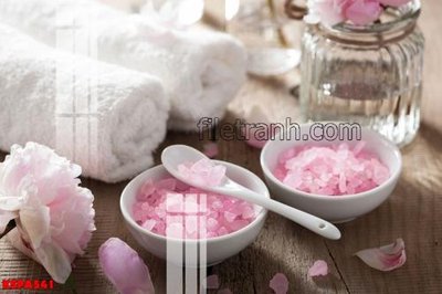 File gốc Tranh trang trí Spa làm đẹp KSPA541 (AI/EPS) cho in ấn