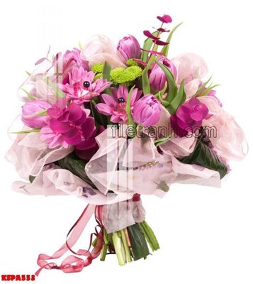 File in mica Tranh trang trí Spa làm đẹp KSPA553 (bản gốc) sắc sảo