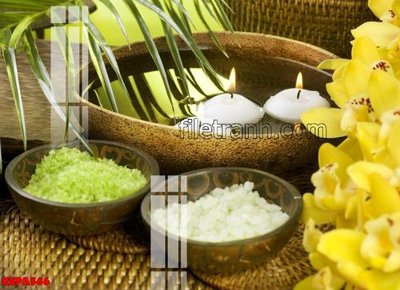 File gốc Tranh trang trí Spa làm đẹp KSPA566 (dành cho quảng cáo)