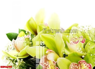 File ảnh Tranh trang trí Spa làm đẹp KSPA599 (gốc) in backdrop sự kiện