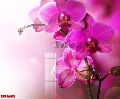 Tải file gốc Tranh trang trí Spa làm đẹp KSPA602 (bản PSD) đầy đủ layer