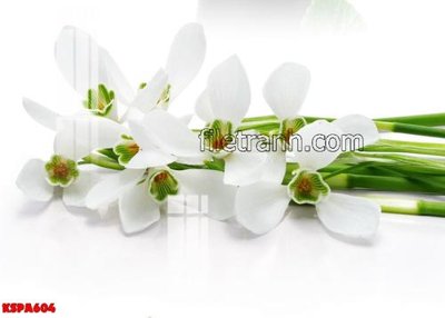 Tệp tin gốc Tranh trang trí Spa làm đẹp KSPA604 (chất lượng) Tranh trang trí Spa làm đẹp KSPA604