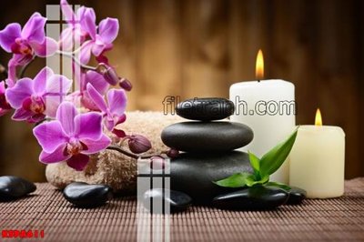 File gốc Tranh trang trí Spa làm đẹp KSPA611 (in lụa) trang trí tường