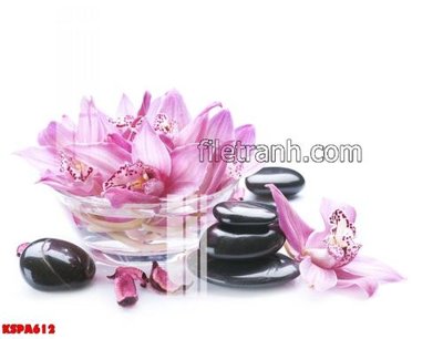 Tệp tin gốc Tranh trang trí Spa làm đẹp KSPA612 (chất lượng) Tranh trang trí Spa làm đẹp KSPA612