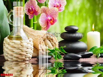 File gốc Tranh trang trí Spa làm đẹp KSPA633 (trang trí) phòng trẻ em