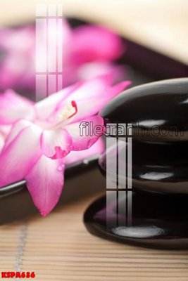 File tranh Tranh trang trí Spa làm đẹp KSPA636 (gốc) in trên kính