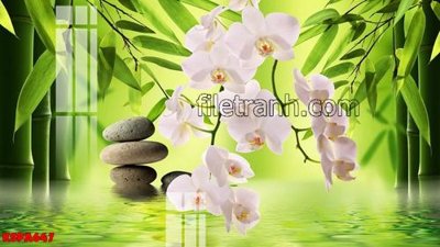 Tải file Tranh trang trí Spa làm đẹp KSPA647 (gốc) chủ đề tâm linh