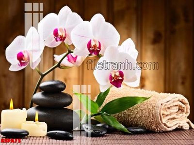 File gốc Tranh trang trí Spa làm đẹp KSPA72 (ảnh chi tiết) để in ấn
